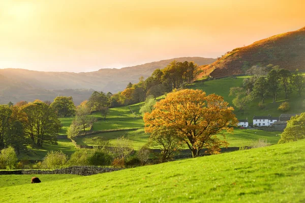 Infinitas Pastagens Exuberantes Terras Agrícolas Inglaterra Lindo Campo Inglês Com — Fotografia de Stock