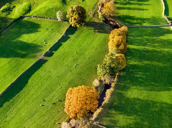 Vue Aérienne Des Pâturages Luxuriants Des Terres Agricoles Infinies Angleterre — Photo