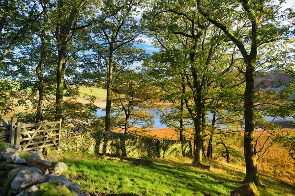 湖区大朗代尔山谷的风景日落景观 以其冰川带湖泊和崎岖的山脉而闻名 英格兰西北部坎布里亚受欢迎的度假目的地 — 图库照片