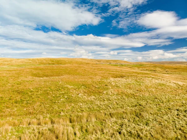 Вид Повітря Жовті Поля Сухих Трав Національному Парку Йоркшир Дейлс — стокове фото
