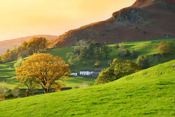 英格兰无边无际的茂密草原和农田 美丽的英国乡村 绿油油的田野和草地 日落时分的乡村风景 — 图库照片