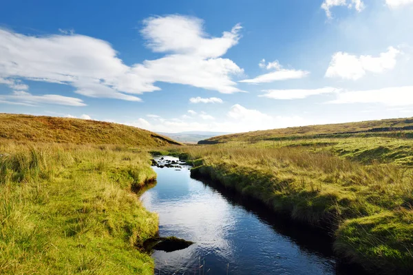 Petit Ruisseau Coulant Entre Des Pâturages Verdoyants Dans Yorkshire Dales — Photo