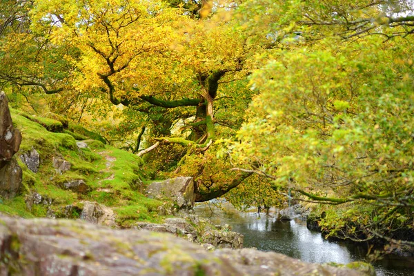 Perairan Liar Stonethwaite Beck Sebuah Sungai Kecil Yang Terbentuk Pertemuan — Stok Foto
