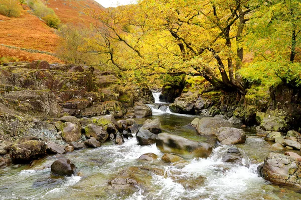 Wild Waters Stonethwaite Beck Small River Formed Confluence Langstrath Beck — Stock Photo, Image