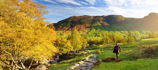 Manlig Vandrare Utforska Great Langdale Dalen Lake District Känd För — Stockfoto