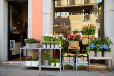 BERGAMO, İtalya - Nisan 2019: Bergamo şehrinin güzel ortaçağ caddesi, Lombardy, İtalya 'daki küçük çiçekçide satılan renkli çiçekler