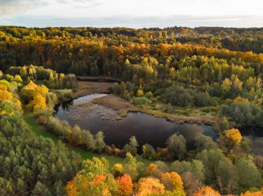 Yeşil ve sarı ağaçları ile sonbahar orman hava görünümünü. Karışık yapraklı ve iğne yapraklı orman. Güzel sonbahar sahne Vilnius city, Litvanya yakınındaki