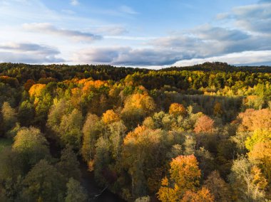 Yeşil ve sarı ağaçları ile sonbahar orman hava görünümünü. Karışık yapraklı ve iğne yapraklı orman. Güzel sonbahar sahne Vilnius city, Litvanya yakınındaki