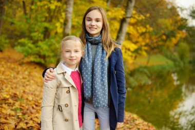 İki tatlı genç kız kardeş güzel bir sonbahar gününde eğleniyorlar. Sonbahar parkında oynayan mutlu çocuklar. Sarı sonbahar yaprakları toplayan çocuklar. Çocuklar için sonbahar etkinlikleri.
