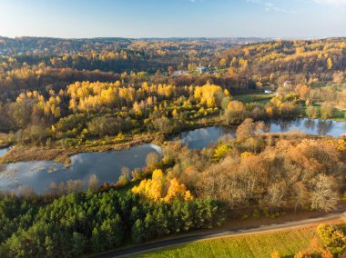 Kuşlar sonbahar orman ve küçük bir göl manzarasına göz. Turuncu ve sarı yaprakları ile sonbahar hava renkli orman sahne. Sonbahar sahne Vilnius, Litvanya yakınındaki.