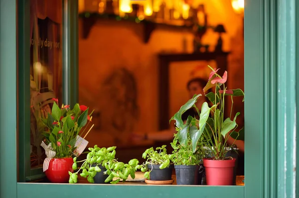 Bergamo Itálie Duben 2019 Okénko Restaurace Zdobené Různými Bylinkami Květinami — Stock fotografie