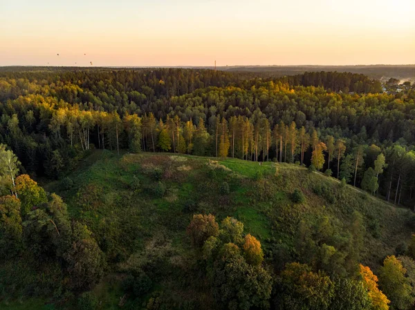 Vacker Flygskog Scen Sommaren Gröna Träd Och Fält Solig Sommardag — Stockfoto