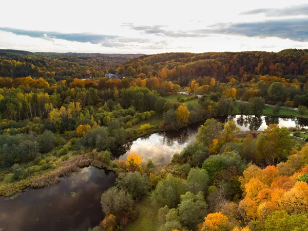 Aerial View Autumn Forest Green Yellow Trees Mixed Deciduous Coniferous — Stock Photo, Image