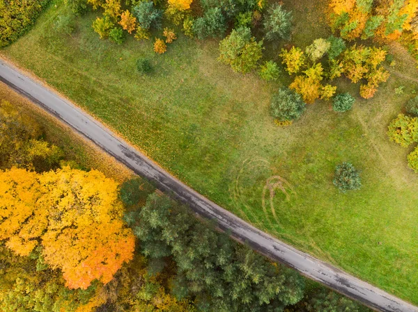 Vista Aérea Cima Para Baixo Floresta Outono Com Árvores Verdes — Fotografia de Stock