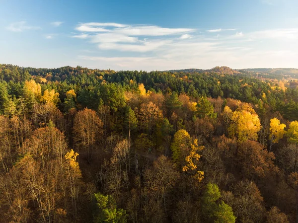Yeşil Sarı Ağaçları Ile Sonbahar Orman Hava Görünümünü Karışık Yapraklı — Stok fotoğraf