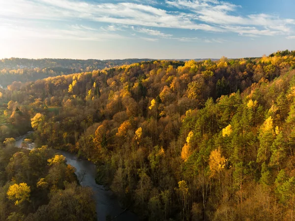 Yeşil Sarı Ağaçları Ile Sonbahar Orman Hava Görünümünü Karışık Yapraklı — Stok fotoğraf