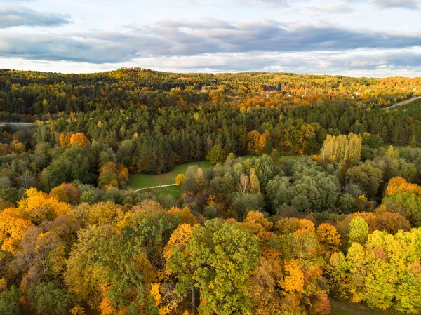 Vista Aérea Floresta Outono Com Árvores Verdes Amarelas Floresta Caduca — Fotografia de Stock