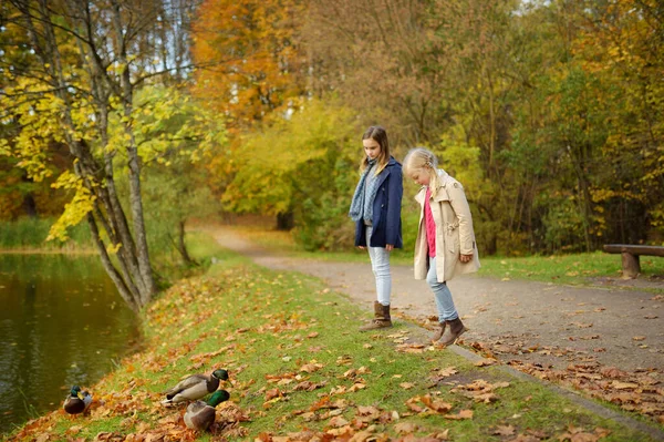 Tatlı Genç Kız Kardeş Güzel Bir Sonbahar Gününde Eğleniyorlar Sonbahar — Stok fotoğraf