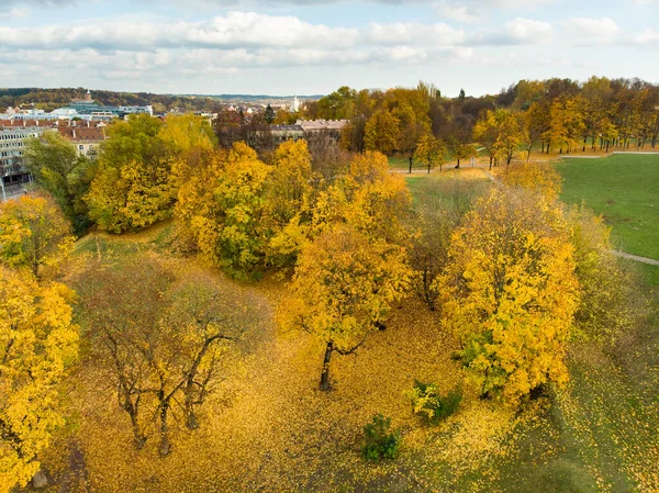 Gyönyörű Vilnius Város Panoráma Ősszel Narancs Sárga Lombozat Légi Esti — Stock Fotó