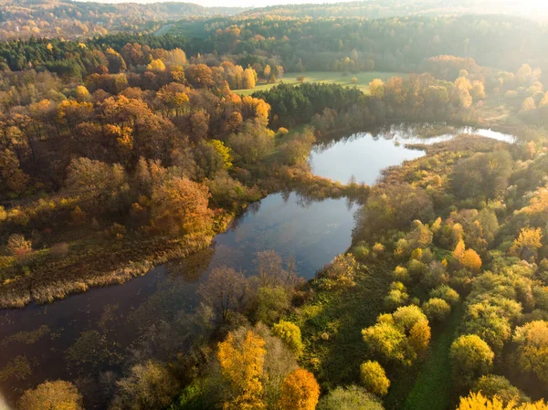 Birds Eye View Autumn Forest Small Lake Aerial Colorful Forest — Stock Photo, Image