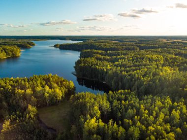 Moletai bölgesinin güzel hava manzarası, ünlü ya da gölleri. Manzaralı yaz akşamı manzarası, Moletai, Litvanya