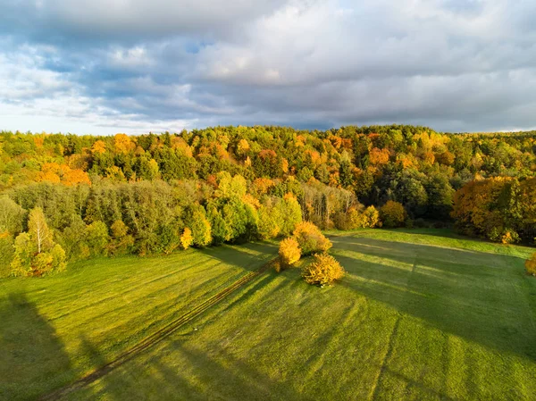 Aerial View Autumn Forest Green Yellow Trees Mixed Deciduous Coniferous — Stock Photo, Image