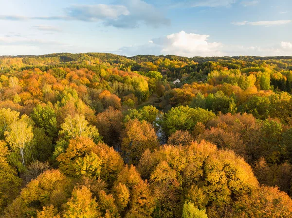 Letecký Pohled Podzimní Les Zelené Žluté Stromy Smíšeného Listnatého Jehličnatého — Stock fotografie