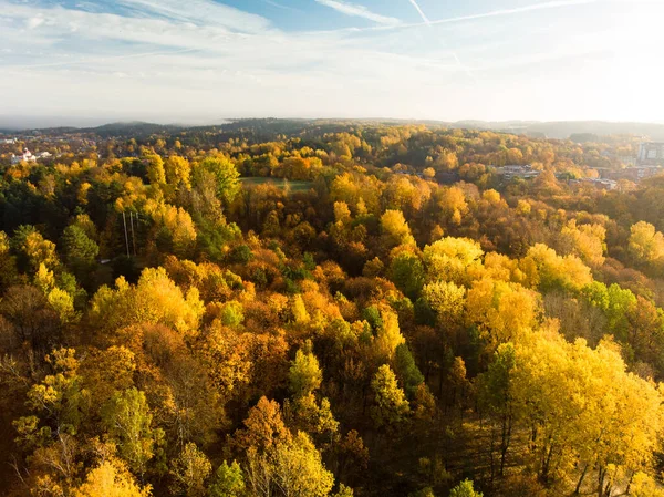 Vista Aérea Floresta Outono Com Árvores Verdes Amarelas Floresta Caduca — Fotografia de Stock