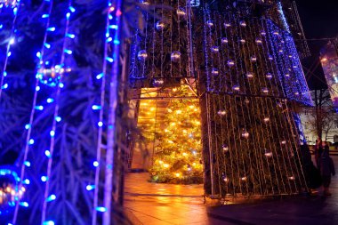 VILNIUS, LITHUANIA - 2020 ARALIK: Litvanya 'nın Vilnius kentindeki Katedral meydanında güzel bir Noel ağacı.