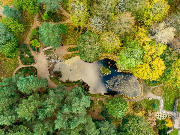 Yeşil Sarı Ağaçlar Ile Sonbahar Ormanhavadan Yukarıdan Aşağıya Görünümü Karışık — Stok fotoğraf