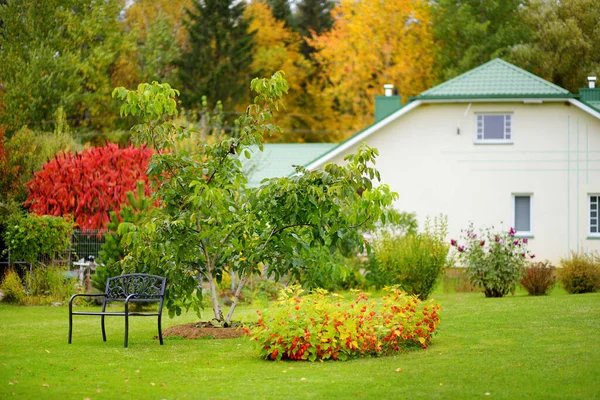 Belo Jardim Verde Cheio Árvores Plantas Decorativas Flores Florescentes Com — Fotografia de Stock