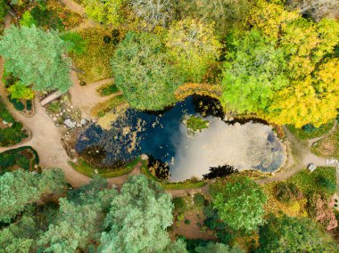 Yeşil ve sarı ağaçlar ile sonbahar ormanHavadan yukarıdan aşağıya görünümü. Karışık yaprak döken ve iğne yapraklı orman. Vilnius şehrinde güzel sonbahar manzarası, Litvanya