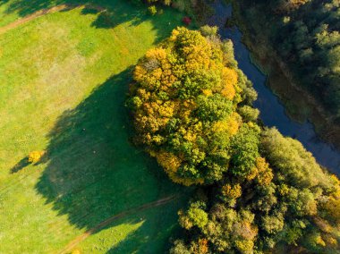 Yeşil ve sarı ağaçlar ile sonbahar ormanHavadan yukarıdan aşağıya görünümü. Karışık yaprak döken ve iğne yapraklı orman. Vilnius şehrinde güzel sonbahar manzarası, Litvanya