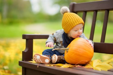 Güneşli bir sonbahar gününde küçük renkli bir balkabağının yanında oturan tatlı bir erkek bebek. Şükran Günü 'nde aile zamanı. Ekim 'de festival sezonu.