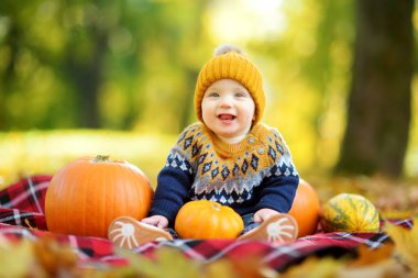 Güneşli bir sonbahar gününde küçük renkli balkabaklarının yanında oturan sevimli küçük erkek bebek. Şükran Günü 'nde aile zamanı. Ekim 'de festival sezonu.