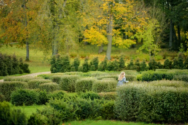 Menina Bonito Divertindo Belo Dia Outono Parque Cidade Lazer Familiar — Fotografia de Stock