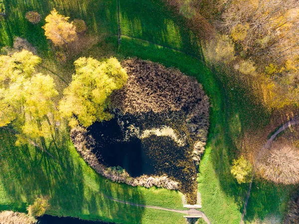 Bovenaanzicht Van Luchtfoto Van Het Herfst Bos Met Groene Gele — Stockfoto