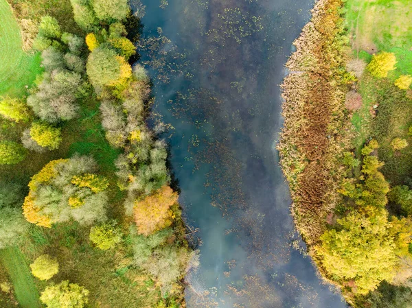 Aerial Top View Autumn Forest Green Yellow Trees Mixed Deciduous — Stock Photo, Image