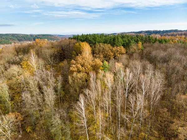 Vista Aérea Floresta Outono Com Árvores Verdes Amarelas Floresta Caduca — Fotografia de Stock