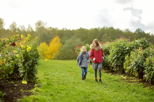 Twee Schattige Zusjes Die Het Bloeiende Dahlia Veld Spelen Kinderen — Stockfoto