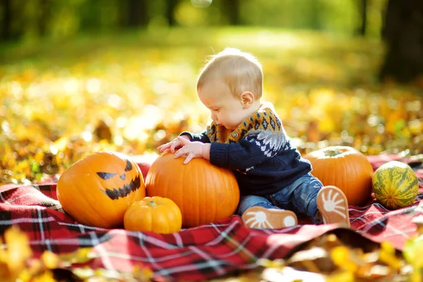 Cute Small Baby Boy Sitting Small Pumpkin Painted Scary Face — Zdjęcie stockowe