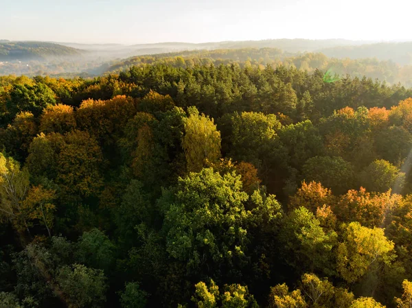 Flygfoto Över Hösten Skogen Med Gröna Och Gula Träd Blandad — Stockfoto