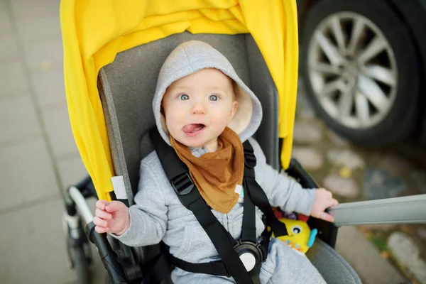 Sweet Baby Boy Wearing Warm Clothes Sitting Stroller Outdoors Little — Stock Photo, Image