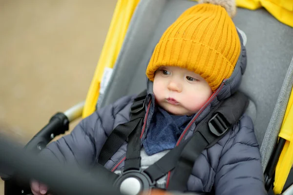 Söt Pojke Klädd Varma Kläder Sittande Barnvagn Utomhus Ett Litet — Stockfoto