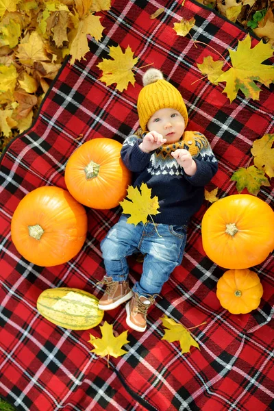 Carino Piccolo Bambino Sdraiato Una Coperta Quadri Vicino Piccole Zucche — Foto Stock