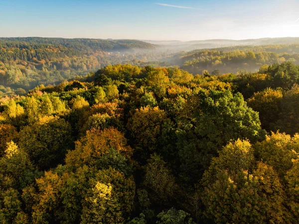 Vista Aérea Del Bosque Otoñal Con Árboles Verdes Amarillos Bosque — Foto de Stock