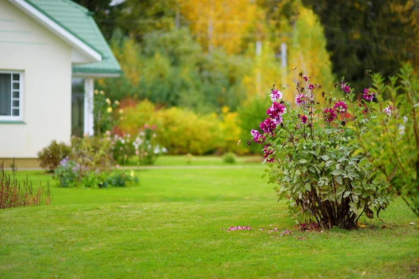 背景に大きな白い家と美しい緑の庭の完全なOtの木 装飾植物や花を咲かせます 裏庭の美しい秋の日 — ストック写真
