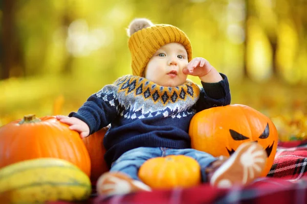 Mignon Petit Garçon Assis Près Petite Citrouille Avec Visage Effrayant — Photo