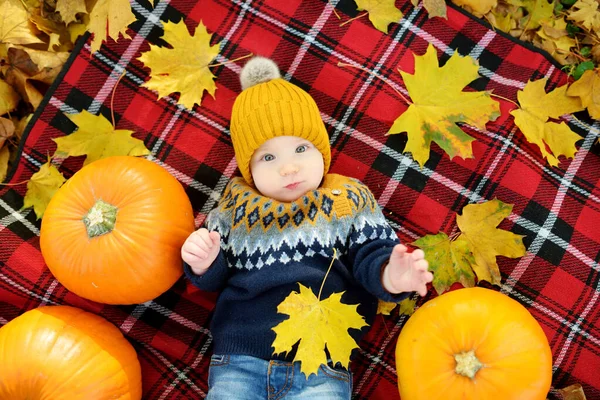 Carino Piccolo Bambino Sdraiato Una Coperta Quadri Vicino Piccole Zucche — Foto Stock