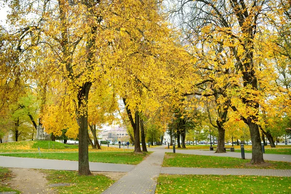 Scène Parc Urbain Coloré Automne Avec Feuillage Orange Jaune Beau — Photo